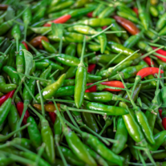 Chillies