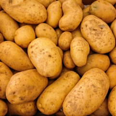 Potatoes