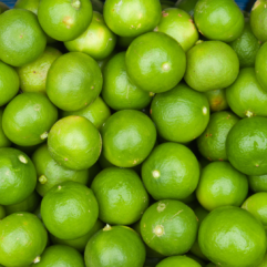 Limes