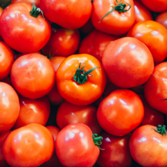 Tomatoes