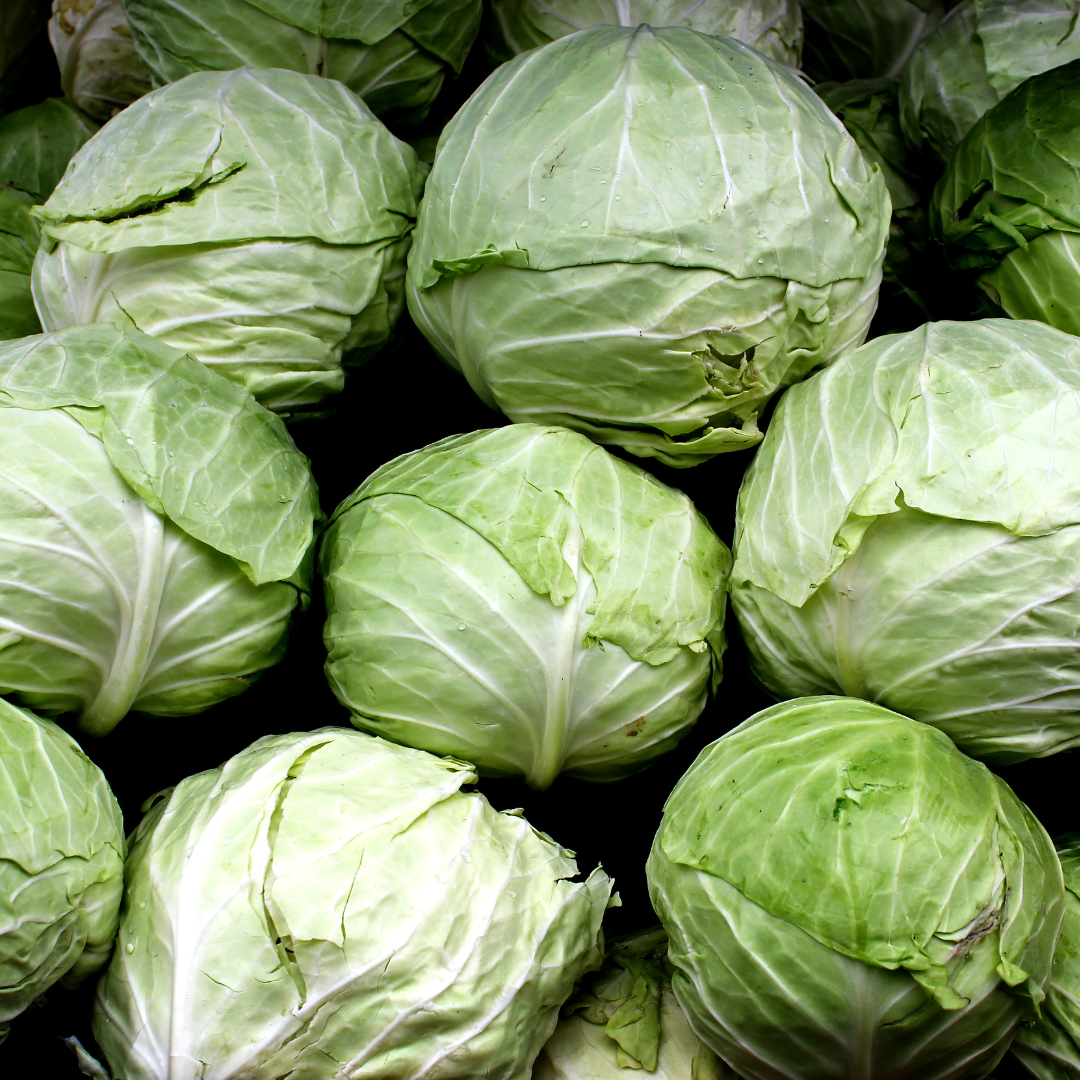 Cabbage
