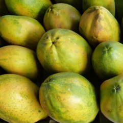 Papaya