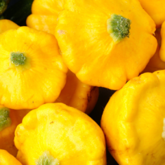 Yellow Patty Pans