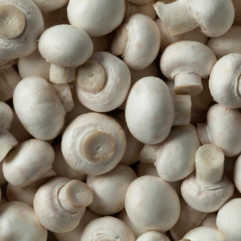 Button Mushrooms