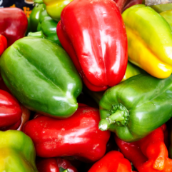 Robot Peppers