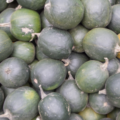 Gem Squash