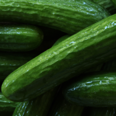 Cucumber