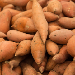 Orange Sweet Potato