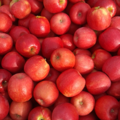 Apples (Pink Lady)