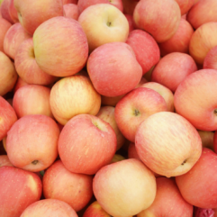Apples