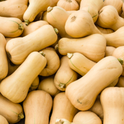 Butternut