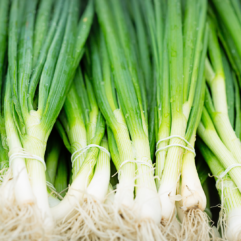 Spring onions