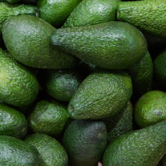 Avocado