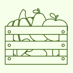 Fruit