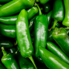 Jalapeño Chillies