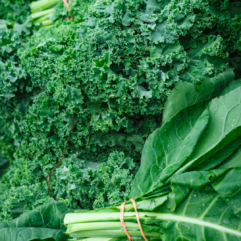Kale