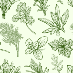 Herbs